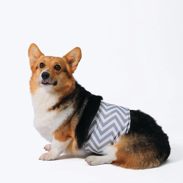 M-PETS Male Washable Diaper