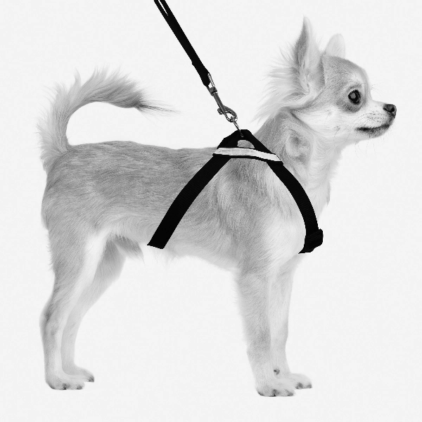M-PETS Secura Safety Car Harness