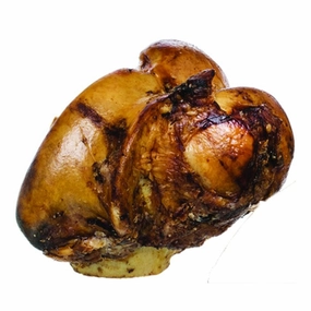 Meaty Bone Knuckle