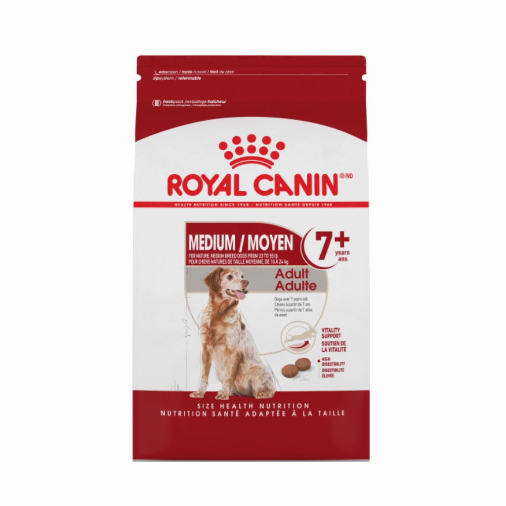 Medium Adult 7 