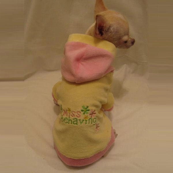Miss Behaving Dog Hoodie