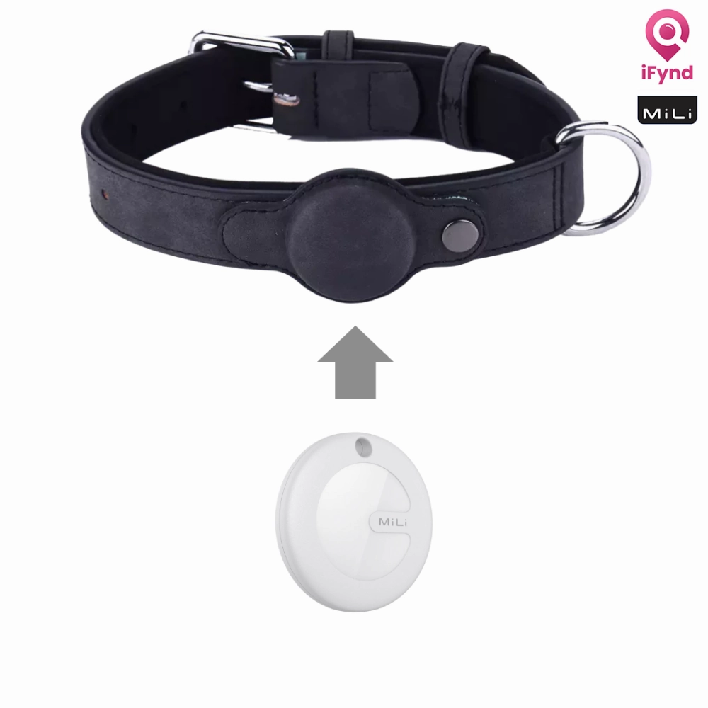 Mitag Anti Loss Device with Collar for Small Dogs (Black) | IOS
