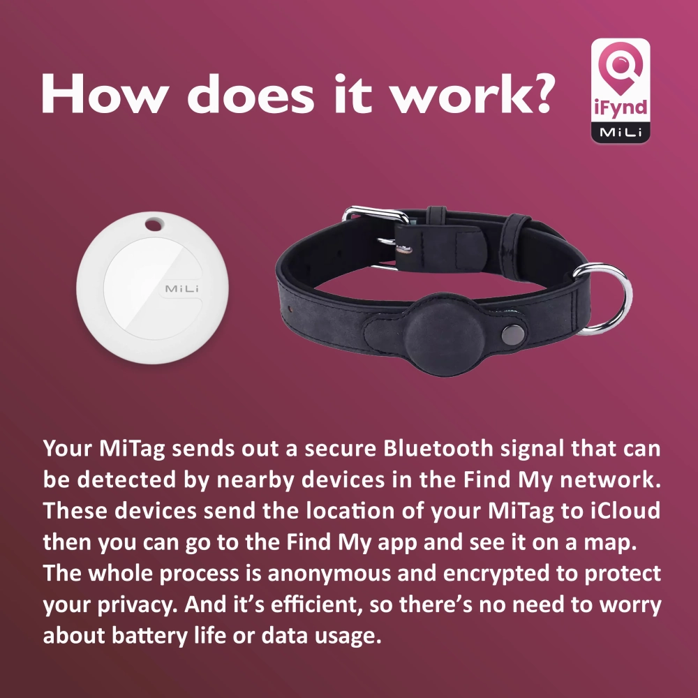 Mitag Anti Loss Device with Collar for Small Dogs (Black) | IOS