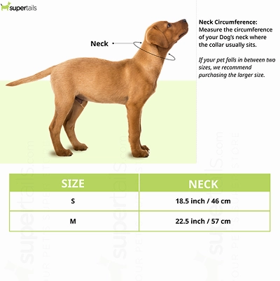Mitag Go Anti Loss Device with Collar for Small Dogs (Black) | Android