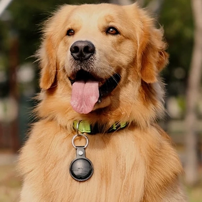 Mitag Go Anti Loss Device with Keychain for Dogs and Cats (Brown) | Android