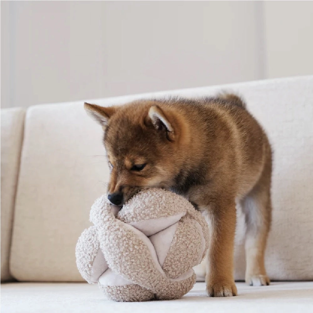 Monti Silent Snuffle Ball Dog Toy