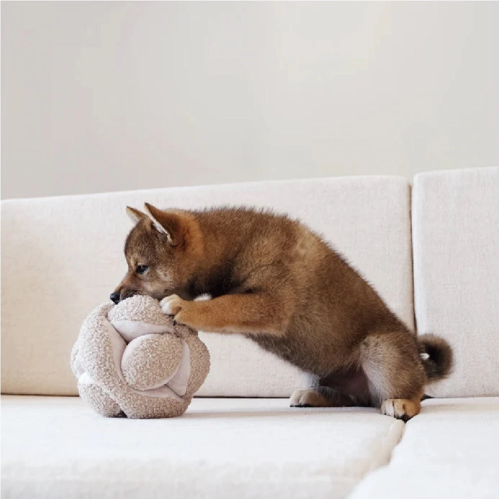 Monti Silent Snuffle Ball Dog Toy