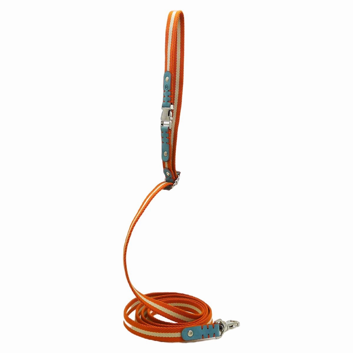 Multi Nubuck Celestial Dog Leash