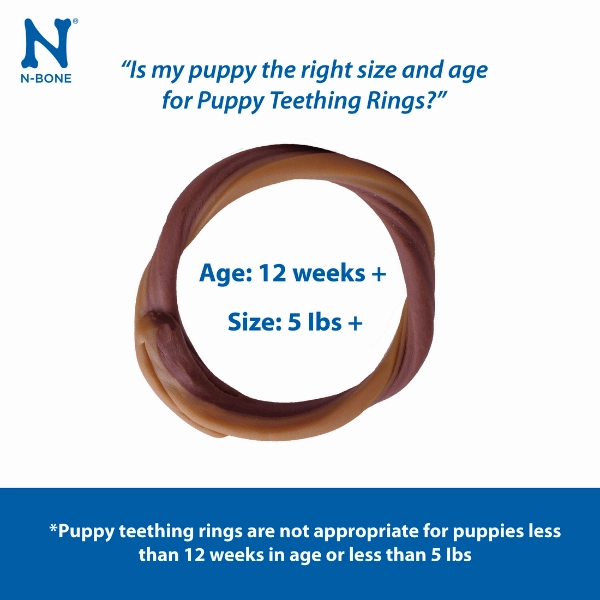 N-Bone Puppy Teething Rings; Pumpkin Flavour