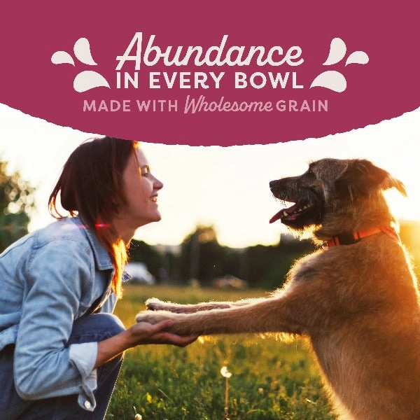Natural Balance Fat Dogs Chicken & Salmon Recipe in Broth Canned Dog Food