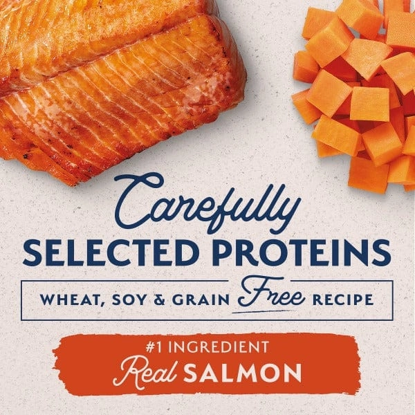 Natural Balance Limited Ingredient Salmon & Sweet Potato Recipe Dry Dog Food