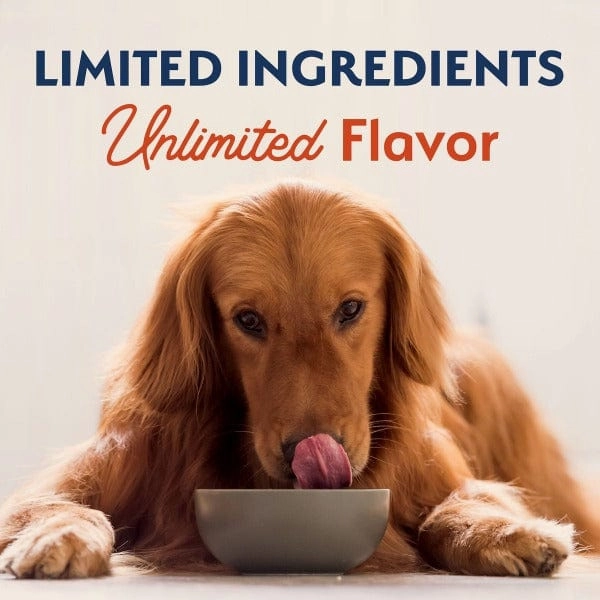Natural Balance Limited Ingredient Salmon & Sweet Potato Recipe Dry Dog Food