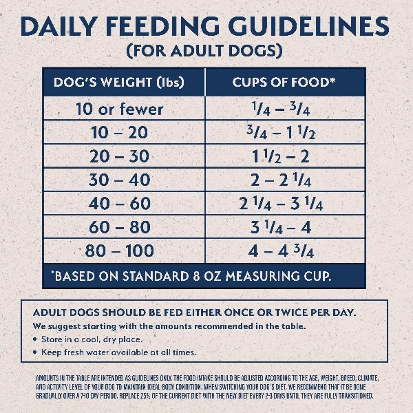 Natural Balance Limited Ingredient Salmon & Sweet Potato Recipe Dry Dog Food