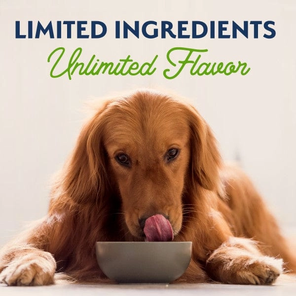 Natural Balance Plant Powered Vegetarian Recipe Dry Dog Food