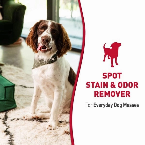 Nature's Miracle Stain & Odor Remover