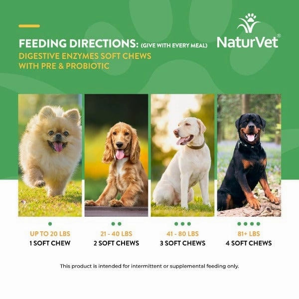 NaturVet Digestive Enzymes Plus Prebiotics & Probiotics Soft Chews for Dogs
