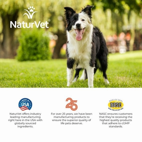 NaturVet Digestive Enzymes Plus Prebiotics & Probiotics Soft Chews for Dogs