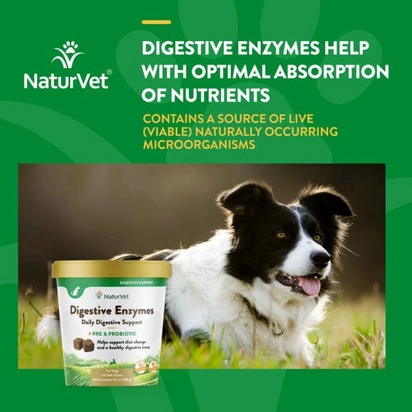 NaturVet Digestive Enzymes Plus Prebiotics & Probiotics Soft Chews for Dogs