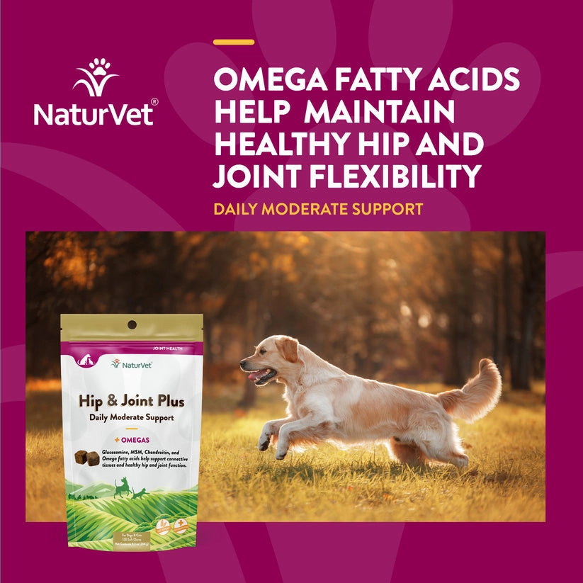 NaturVet Hip & Joint Plus Soft Chews for Dogs