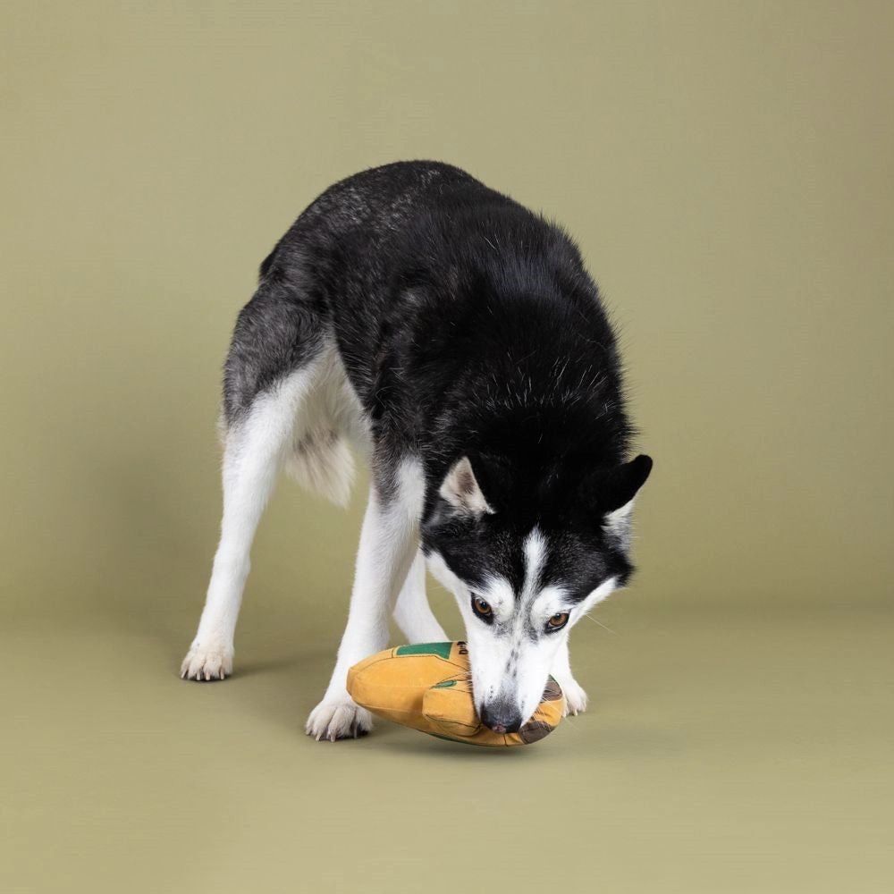 Need A Hand Dog Plush Toy