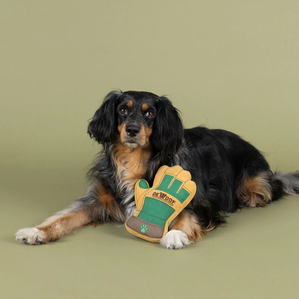 Need A Hand Dog Plush Toy