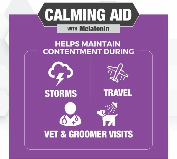 Nootie Progility Calming Aid with Melatonin Soft Chew Supplement for Dogs