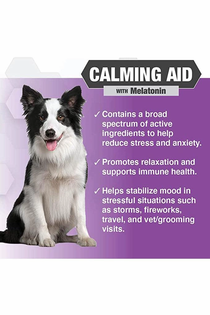 Nootie Progility Max Calming Chews for Dogs, Pack of 4
