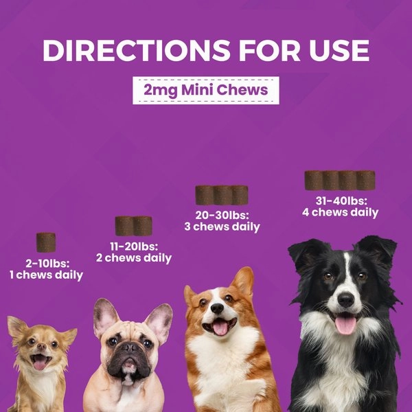 Nootie Progility Minis Calming Aid with Melatonin Soft Chew Supplement for Dogs