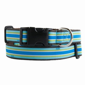 North Beach Dog Collar Small 1" Traditional Buckle