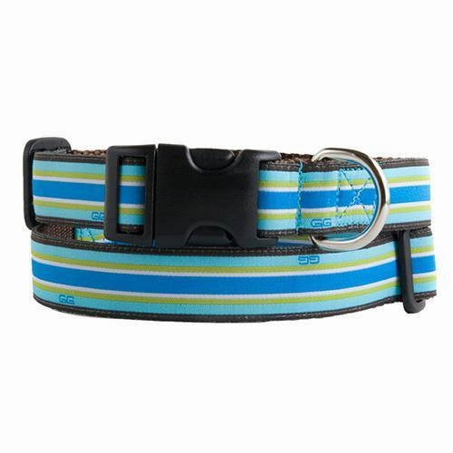 North Beach Dog Collar Small 1" Traditional Buckle