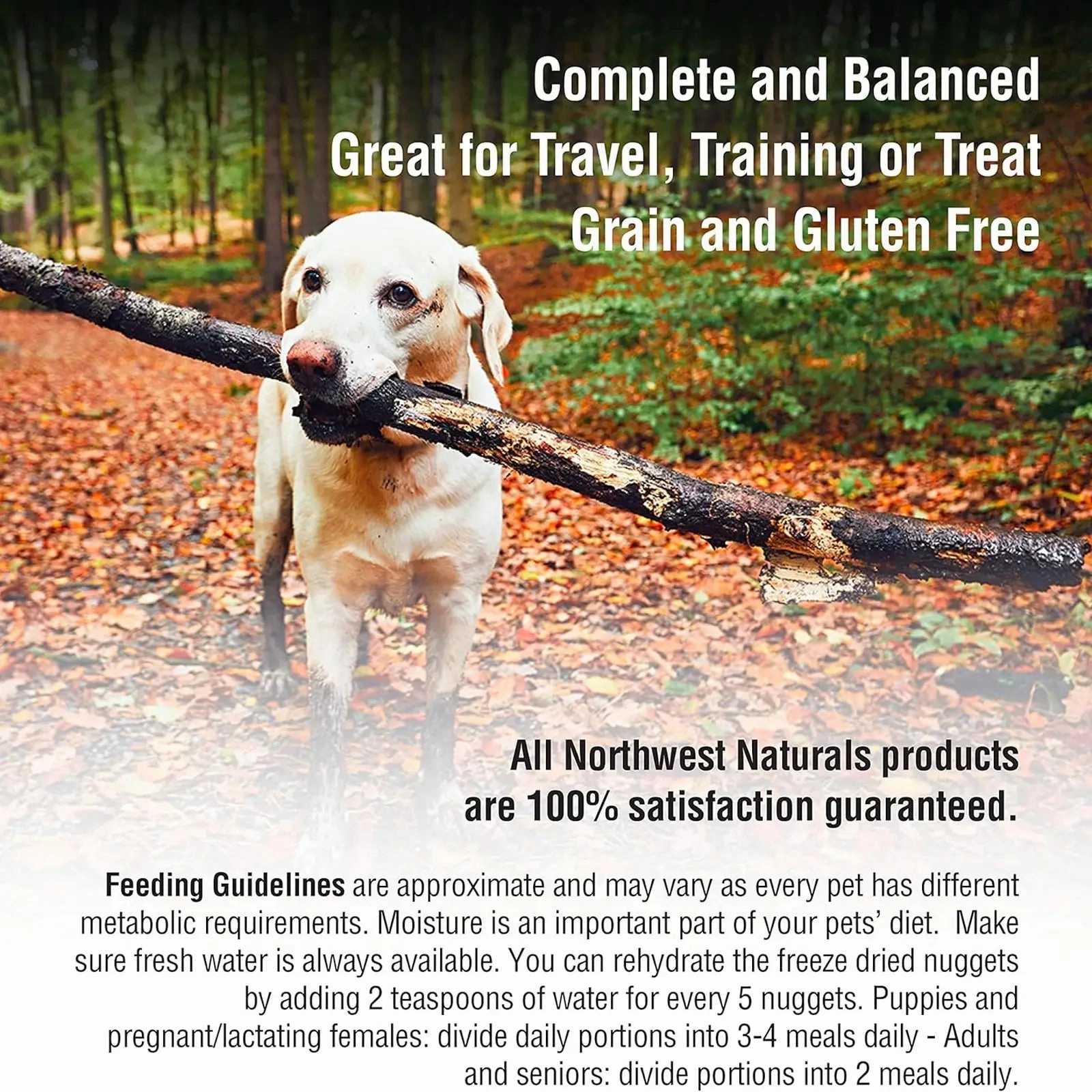 Northwest Naturals Freeze Dried Diets for Dogs - Beef Recipe