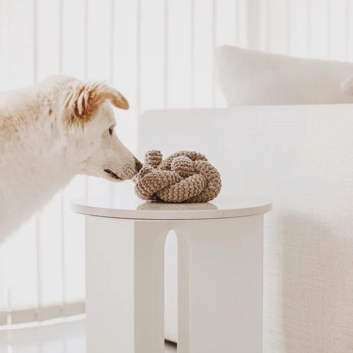 Nou Spueaker Dog Toy