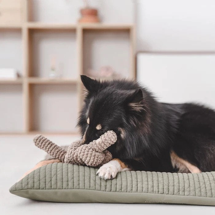 Nou Spueaker Dog Toy