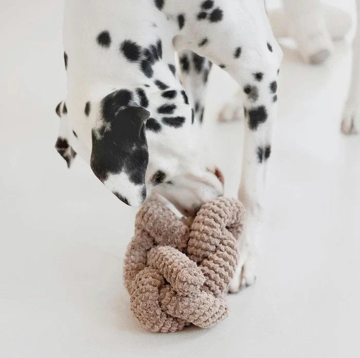 Nou Spueaker Dog Toy