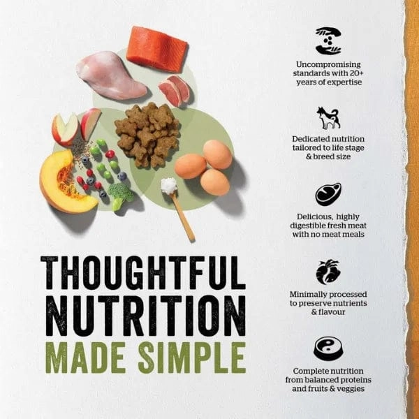 Now Fresh Turkey, Salmon & Duck Recipe Small Breed Senior Dry Dog Food