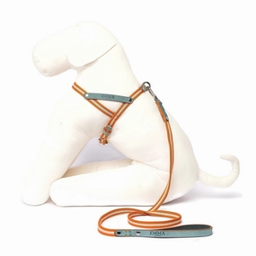 Nubuck Celestial Dog Harness