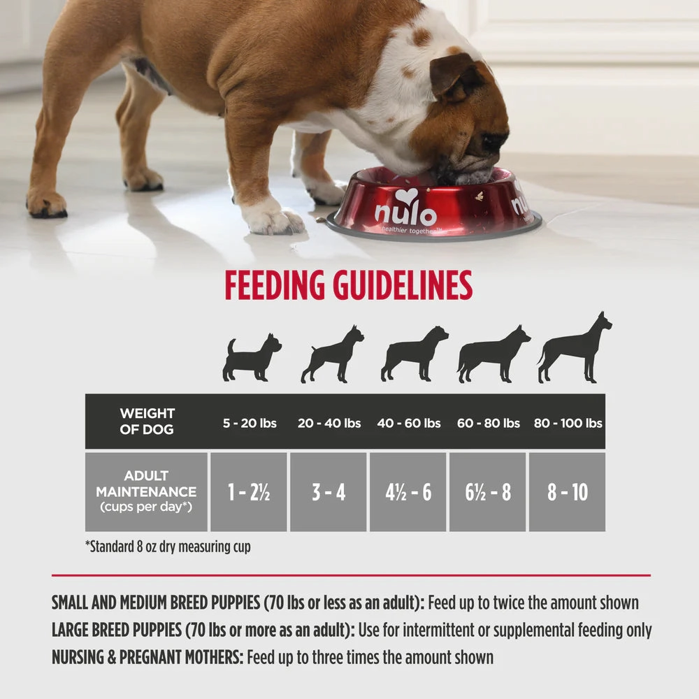 Nulo Freeze-Dried Raw Dog Food - Lamb & Raspberries