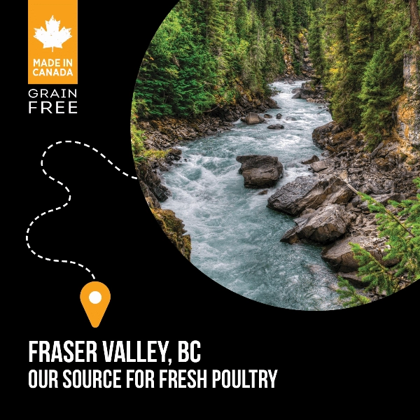 Nutrience SubZero Fraser Valley High Protein Dry Dog Food