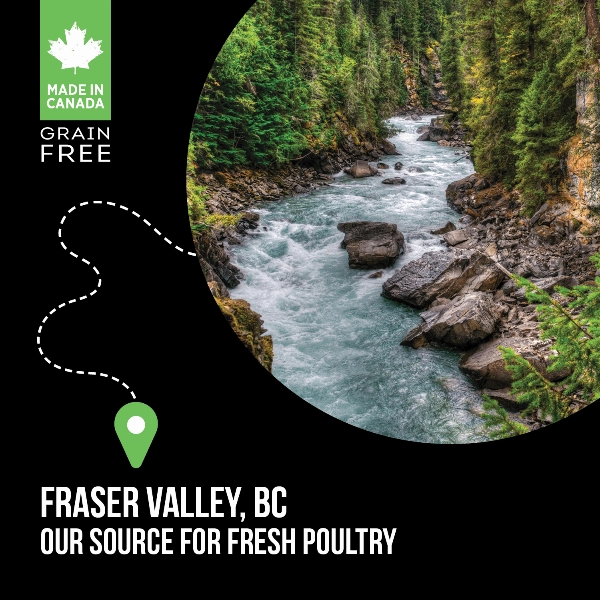 Nutrience SubZero Healthy Puppy Fraser Valley Recipe Dry Dog Food