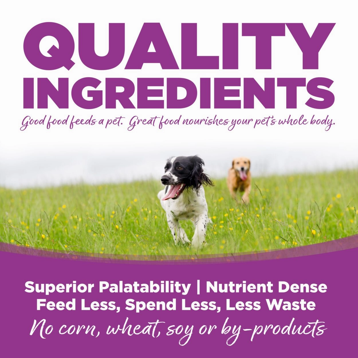 NutriSource Puppy Chicken & Rice Canned Dog Food