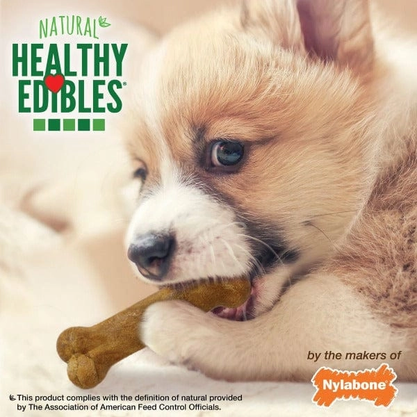 Nylabone Healthy Edibles Lamb & Apple Flavour Petite Puppy Chews