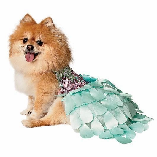 Ombre Mint Green Petal Dog Dress