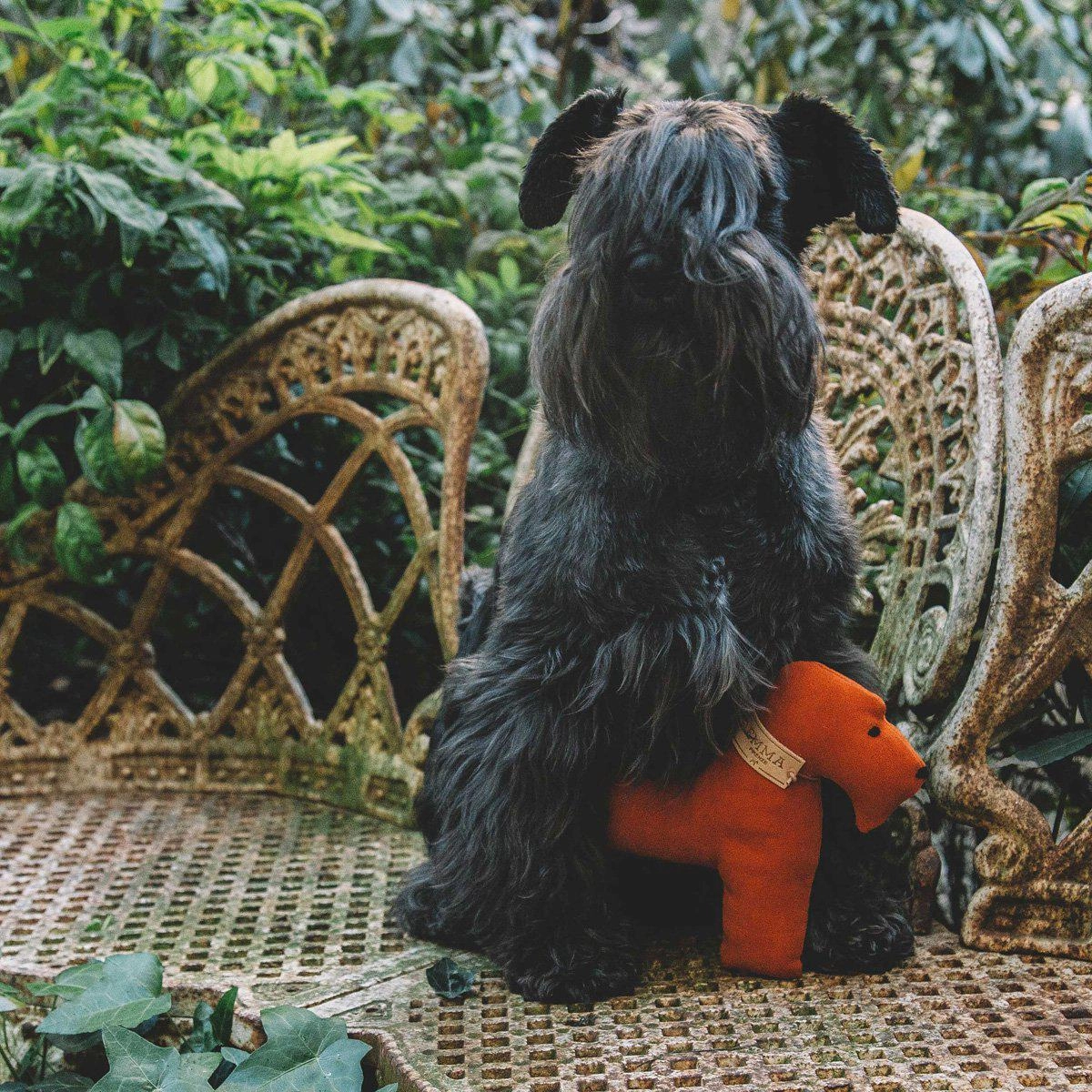 Orange And Faustina Dog Toy