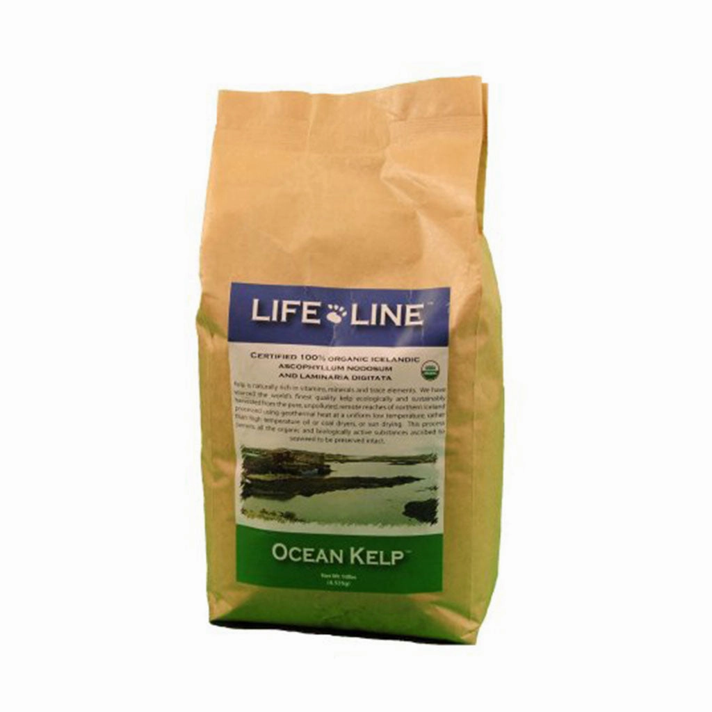 Organic Ocean Kelp