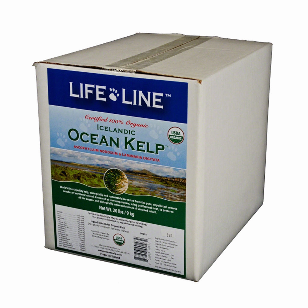 Organic Ocean Kelp