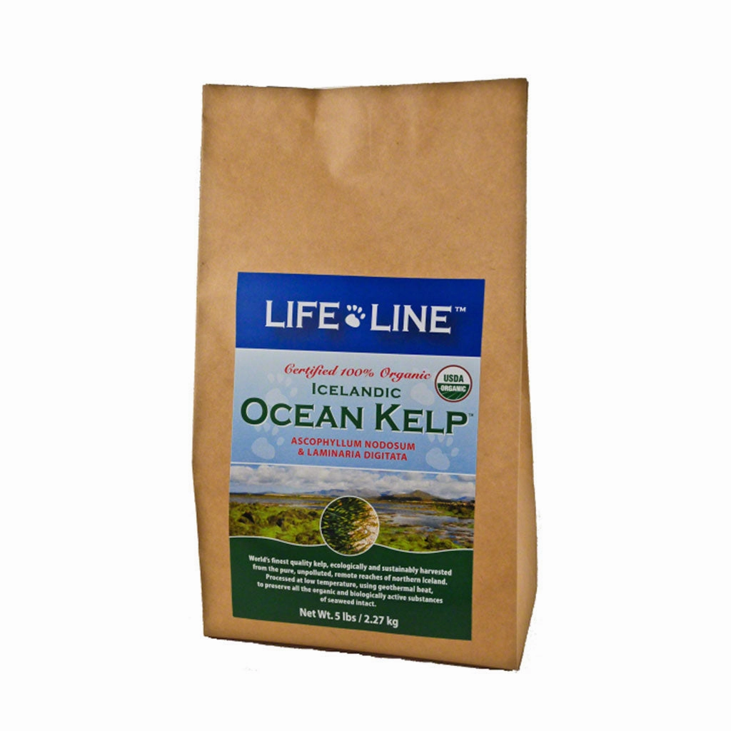 Organic Ocean Kelp