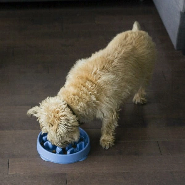 Outward Hound Fun Feeder Slo-Bowl
