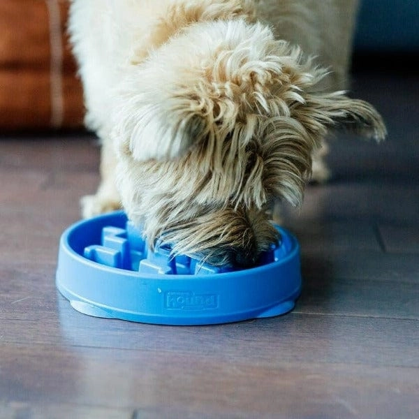 Outward Hound Fun Feeder Slo-Bowl