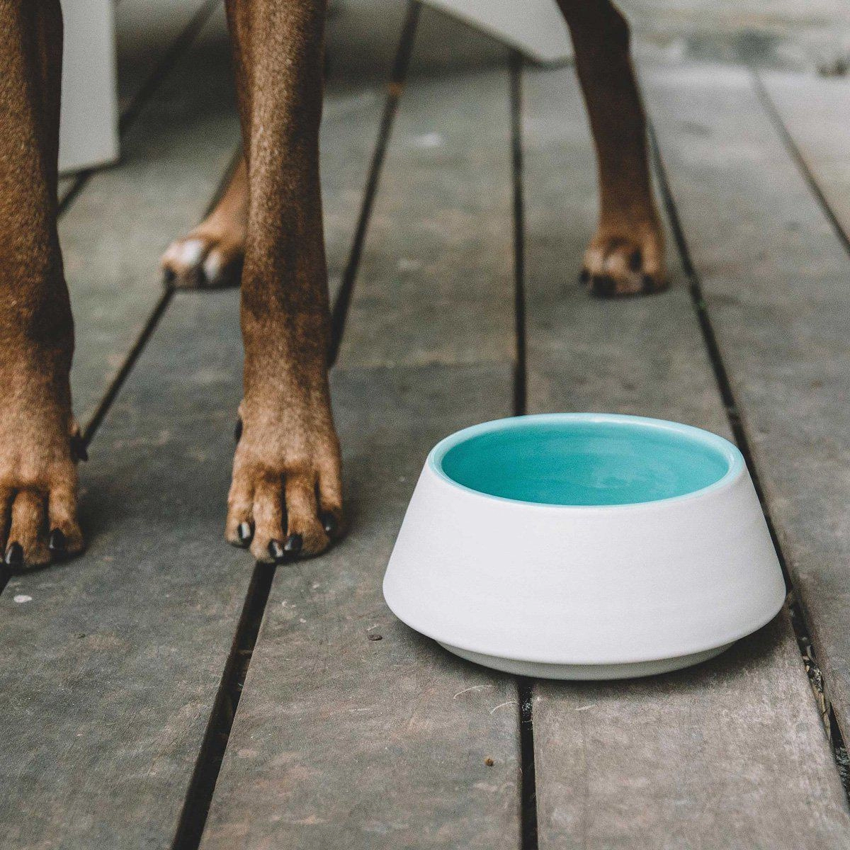 Pale Blue And Mommo Dog Water Bowl