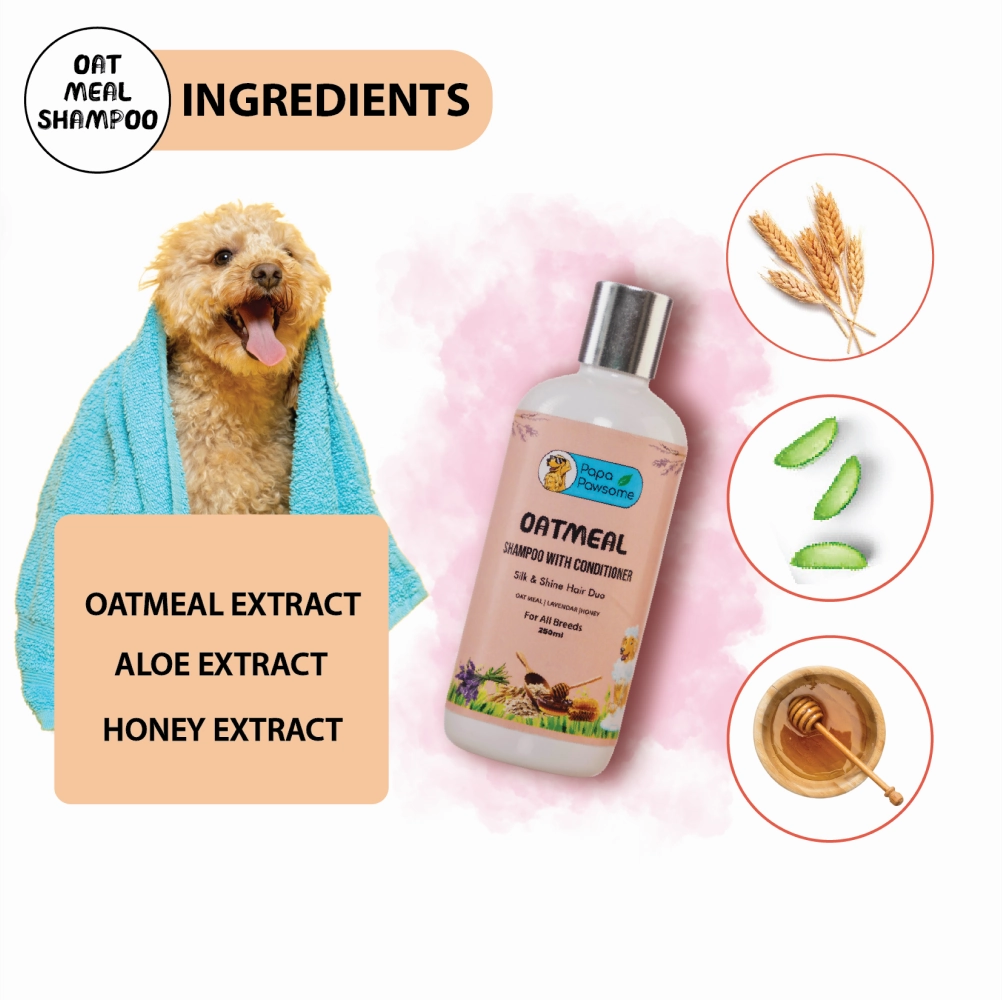Papa Pawsome Oatmeal Shampoo with Conditioner and Palm Brush for Dogs